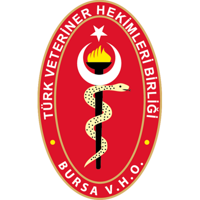 bvo